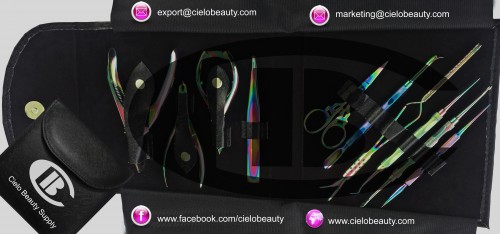 Professional Nail Artist Tools