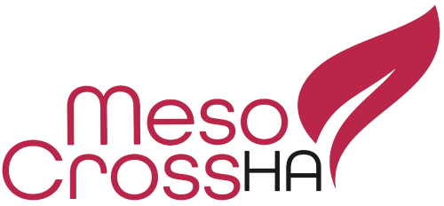Meso CrossHA Biorevitalizing Complex