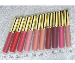 10 Colors Matte Lip Gloss Private Label