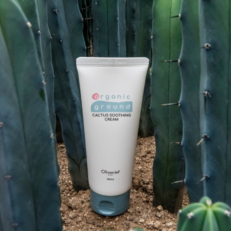 CACTUS SOOTHING CREAM