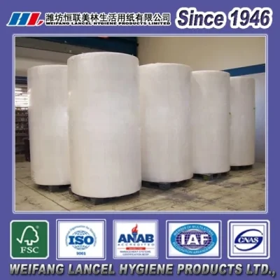 China Materials for Making Tissue Paper Roll Jumbo Roll Toilet/Facial Paper Tissue