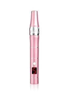 Electric Auto Dermapen Micro Needle Stamp Skin Anti Aging Facial Therapy Tool pen Microneedling Pen Derma pen