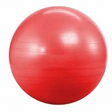 Fitness Exercise Gym Fit Yoga Core Ball 65CM 26&quot; Abdominal Back leg Workout