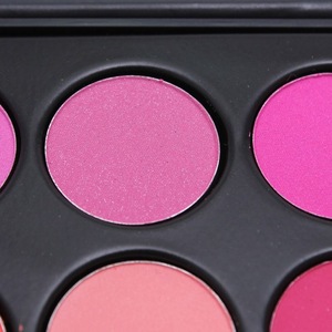 H0T065 private label cosmetic palette for blush