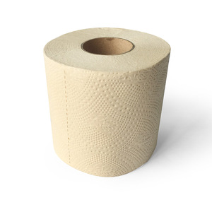 premium quality bamboo pulp toilet tissue Sanitary paper