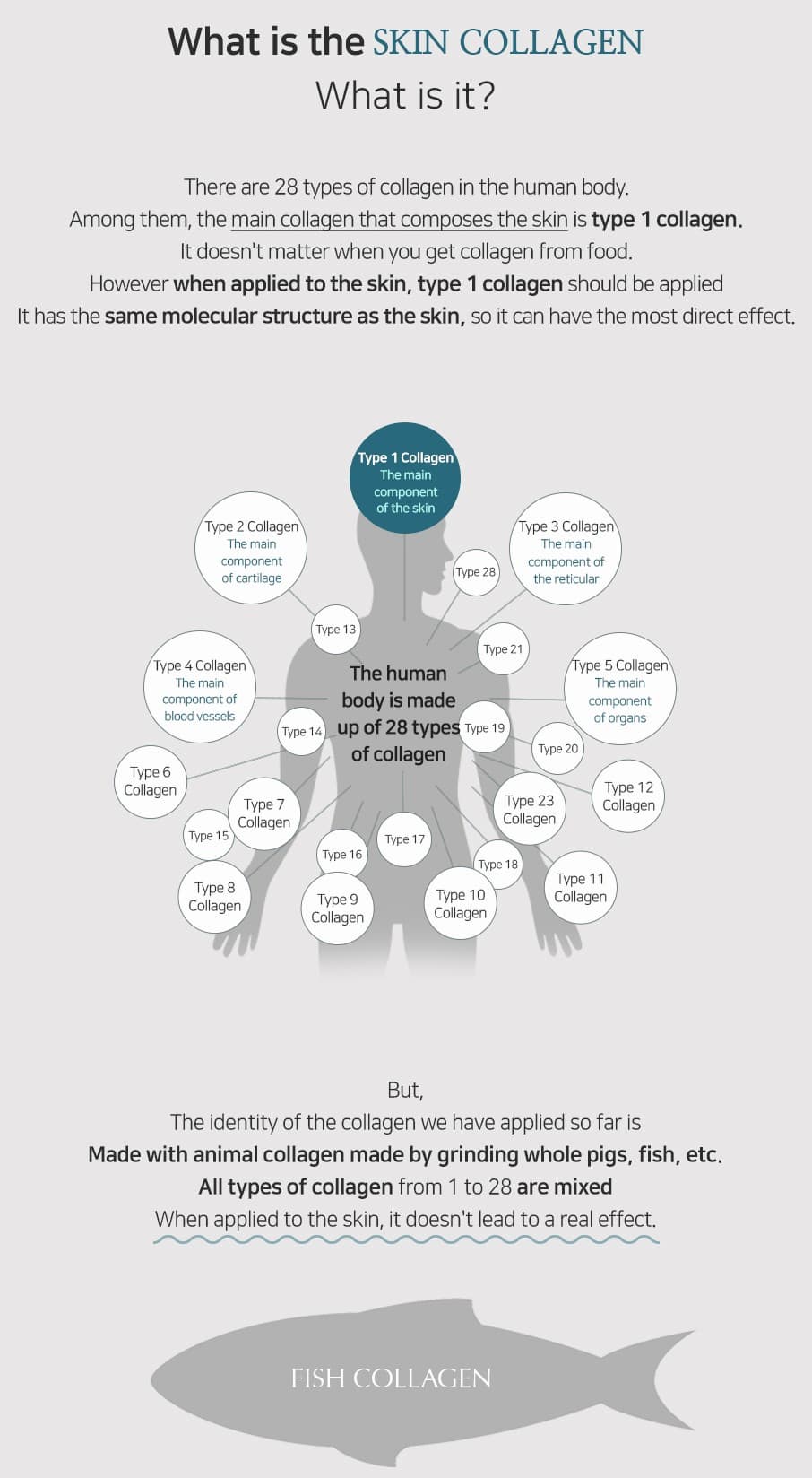 T1 Collagen Lifting Cream