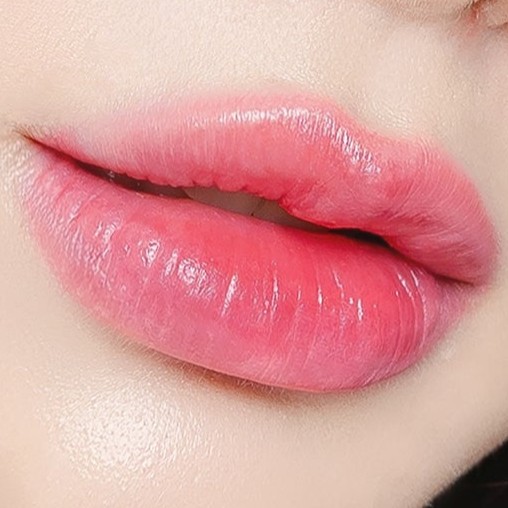 (Touch in SOL) Vegan Again Juicy Plumping Lipstick [#Rosy] 2g