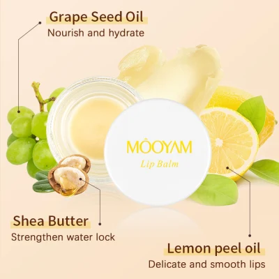 Wholesale Private Label Repairing Lip Care Cream Fading Lip Lines Moisturizing Smoothing Shea Butter Lemon Tinted Lip Balm