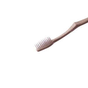 Wholesale Professional Factory Made Biodegradable Bamboo Toothbrush