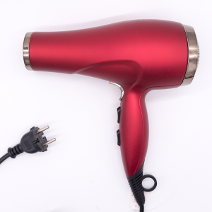 XDM Hair Dryer, Nano Ionic Blow Dryer Professional Salon Hair Blow Dryer Lightweight Fast Dry Low Noise, with Concentrator