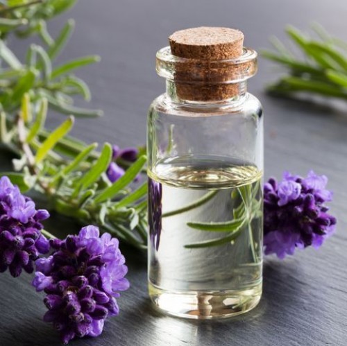 Lavender Oil Kashmir