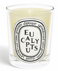 Diptyque candle