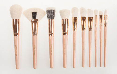 Custom 20pcs Professional Brush Set