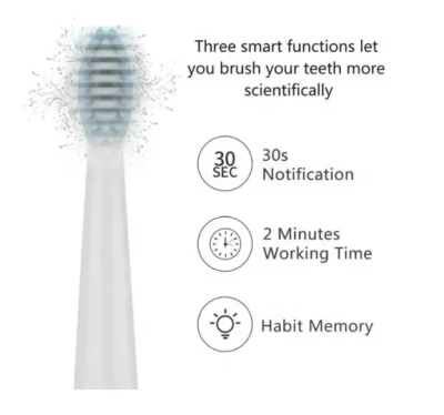 Cheap Adult Electric Toothbrush Waterproof Ipx7 Battery Sonic Toothbrush