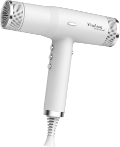 compact light weight professional hair dryer high power hair air dryer salon blow dryer brushless DC motor