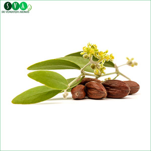 Hot Sale Jojoba Carrier Oil/Jojoba Oil