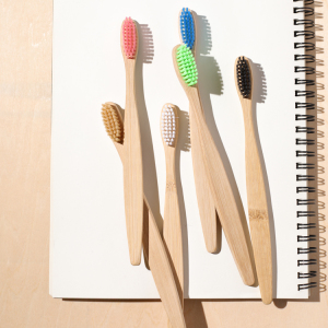 New Product  Custom Packing and Logo  Eco- friendly Biodegradable Bamboo Toothbrush