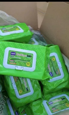 Ready to Ship Free Sample Eco-Friendly Paper Towels and Baby Wet Wipes