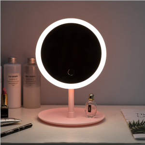 Updated 2019 Version 10X Magnifying Makeup Mirror With Lights, LED Lighted Portable Hand Cosmetic Magnification Light up Mirrors