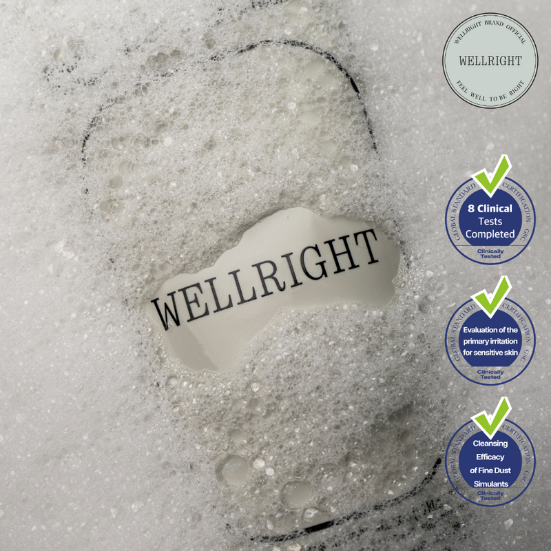 [WELLRIGHT] Pureflux Creamy Cleanser 150ml (Skin Care, Cleansing Foam, Cleanser, Facial Care)