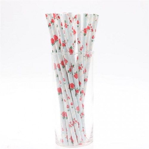 PAIVI PAPER STRAW 6MM