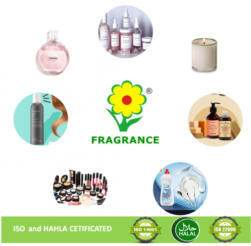 Factory Supply Customized Branded Perfume Oil Fragrance