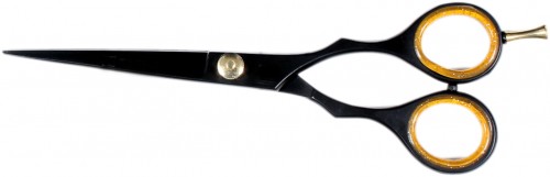 Professional Gold & Black Hairdressing Scissor