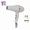 Yinglang cosmoprof Professional Electric Hair dryer 8800