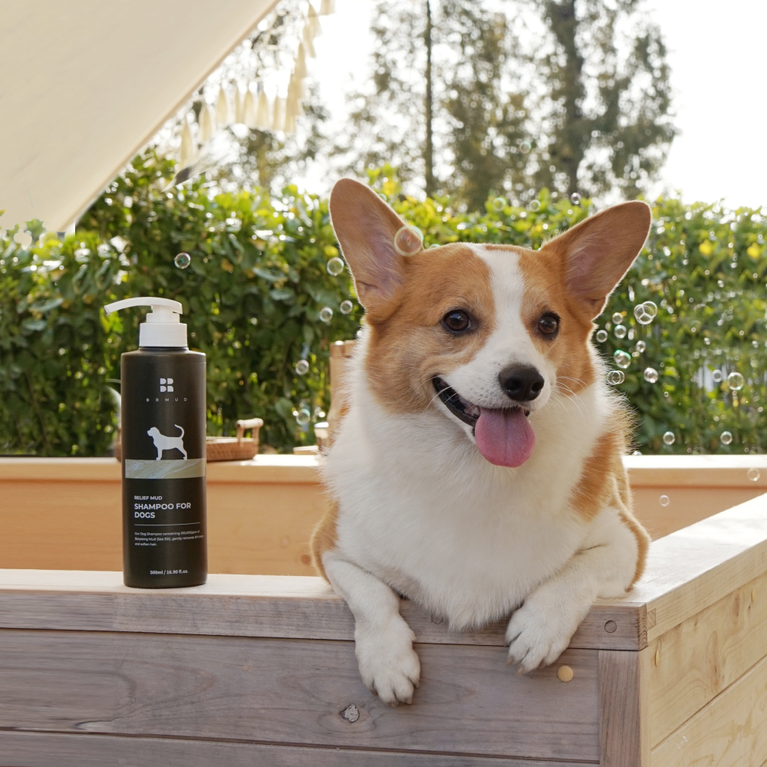 (BRMUD) Relief Mud Shampoo For Dogs 500ml