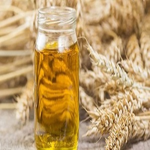 exporter of pure and fresh wheat germ carrier oil