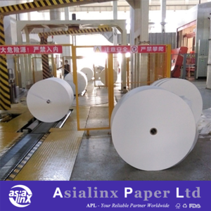 Factory Wholesale 100% Virgin Wood Pulp Tissue Paper Parent Reel Raw Material for Making Toilet Paper