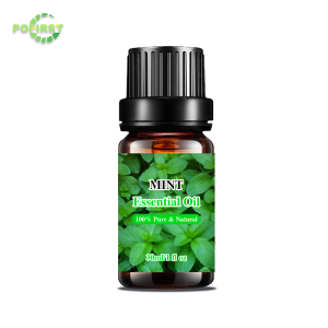 Gmp Factory New Arrival Frankincense Essential Oil Rosemary Natural Essential Oils 6*10Ml