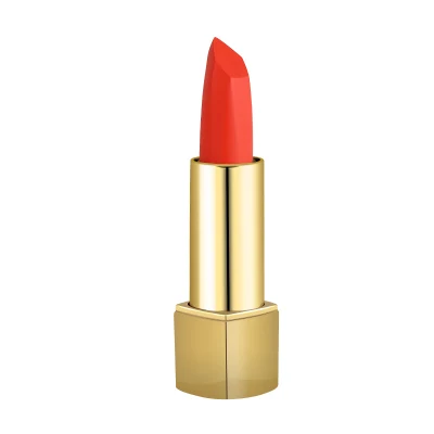 New Matte Color Lipstick Cosmetics Long Lasting