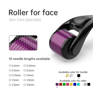 Top selling 10 needle size dermarroller derma roller