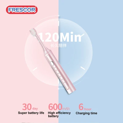 Waterproof Rechargeable Electrical Toothbrush Automatic Adult Electric Ultrasonic Toothbrush