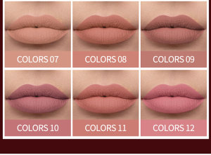 Wholesale cheap cosmetics makeup longlasting nude matte liquid lipstick velvet lip gloss