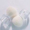 2022 Clear Powder Brush