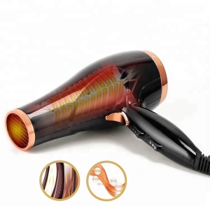 2021 Hot Sale Professional AC Motor Negative Ionic Hair Blow Dryer Hair Salon Equipment Hair Dryer