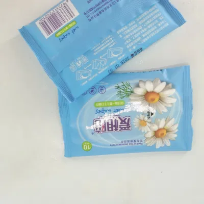 Baby Water Wipes Wet Cleaning Wipes 10 PCS Pocket Packing