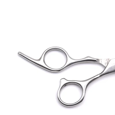 Beauty Salon Professional High - Quality Hair Scissors Wholesale