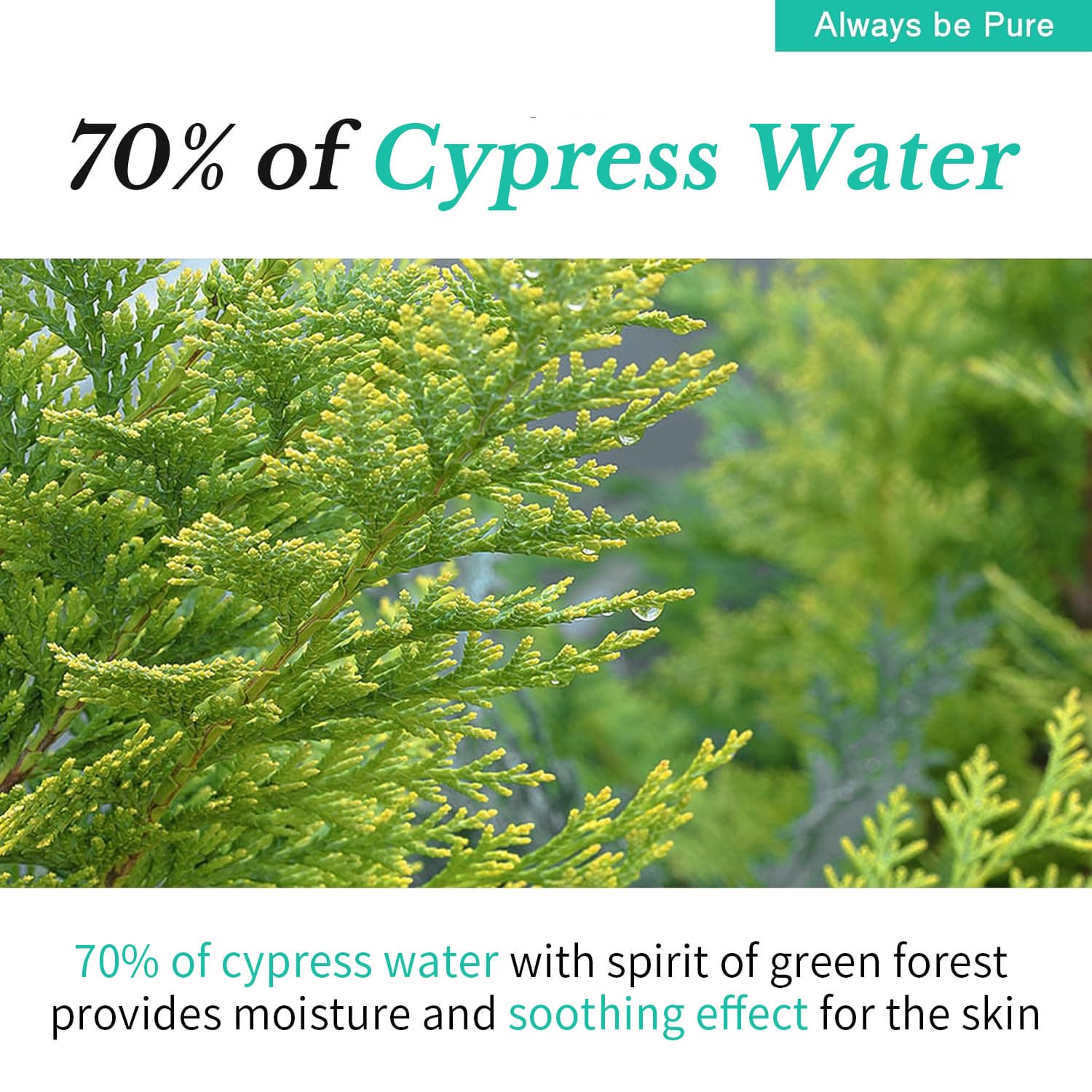 Forest Therapy Repair Concentrated Ampoule 50ml