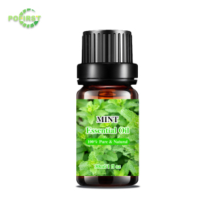 Gmp Factory New Arrival Frankincense Essential Oil Rosemary Natural Essential Oils 6*10Ml