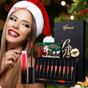 OEM/ODM  Best Cosmetics Gift Lit Christmas Makeup Set Professional Waterproof Long Lasting Lip gloss Lip Set  E8620209