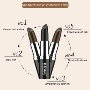 Private Llabel  One-Time Cover Up White Hair Dye Hair  Color  Brush Pen Brown Black Coloring Hair Dye