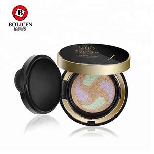 Professional air cushion dry powder cosmetics foundation make up 10 colors in stock