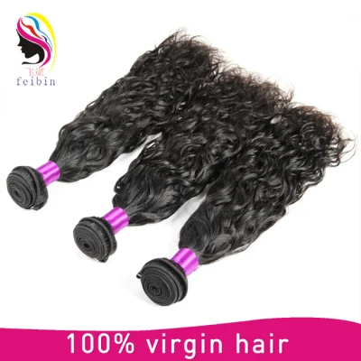 Wholesale Remy Brazilian 8A Human Hair Natural Curl Hair Weave
