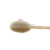 Natural Boar Bristle Body Brush DC-BB005B