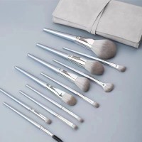 12PCS Professional Makeup Brush Set with Matte Silver Design – Low MOQ OEM Private Label Supplier