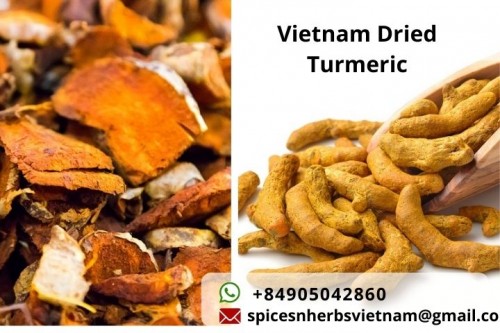 Vietnam turmeric export products