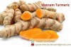 Vietnam turmeric export products